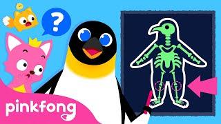 Explore Fun Facts about Animal Body Parts | Learn with Pinkfong & Baby Shark | Pinkfong for Kids