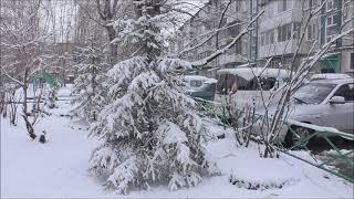 Зима вернулась  г Ачинск  20 04 24г  Автор видео Елена Цыганова