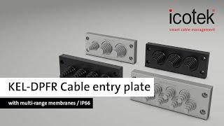 KEL-DPFR Multi-range cable entry plate, up to IP66 | icotek