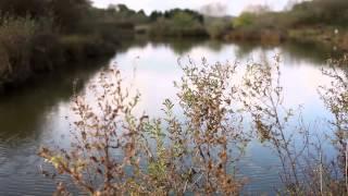 Headlands Farm Fishery - Romsey Hampshire