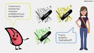 06. Русский язык – один из богатейших языков в мире