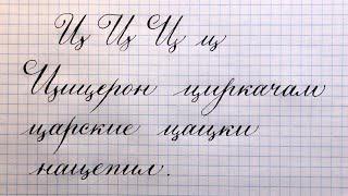 Как пишется прописная и строчная буква Ц, красиво каллиграфическим почерком.