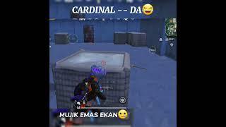 CARDINALNI YOPOLMADM #pubgmobile #cardinalpubg #cardinal #pubg #pubgvideos #pubgtiktok #lifehack