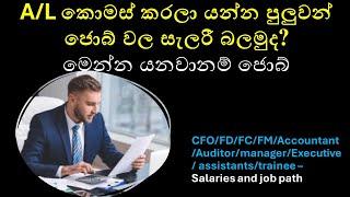 Accounting & Finance Salaries in Sri Lanka 2024: Complete Guide