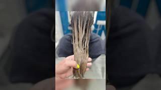 Счастье для Волос + Стрижка в Алматы Almaty-Hair.kz | short #shorts #счастьедляволос #hairtreatment