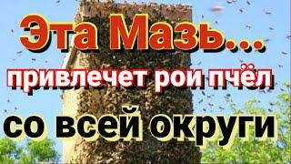 Мазь для привлечения роев в ваши ловушки. Пчеловодство начинающим.