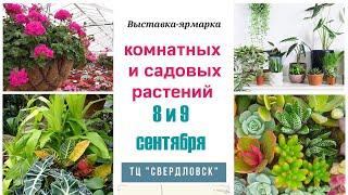 Выставка комнатных и садовых растений 8-9 сентября, г. Екатеринбург