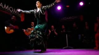 Flamenco performed by amazing Paloma Fantova in Cardomomo