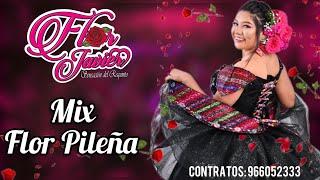 Flor Javier - Mix Flor Pileña - Concierto 2023 Yungay