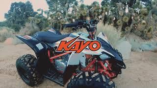 Kayo Predator 1 Minute