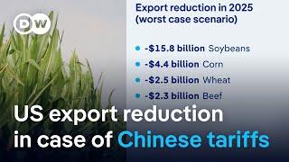 US farmers fear China's response to Trump's planned tarrifs | DW News