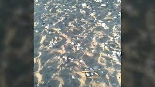 La Union private beach.