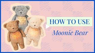 How to Use Moonie Bear