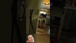 #ржач #смешновидео #pets #юмор #funny #приколы #смехпродлеваетжизнь #смешнойшортс