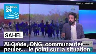 Sahel : Al Qaïda, ONG, communautés peules... le point sur la situation • FRANCE 24