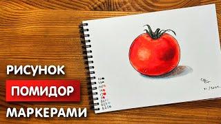 Как нарисовать помидор карандашом и скетч маркерами | Рисунок для детей, поэтапно и легко