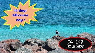 Expect the Unexpected: Our Surprise Cruise Revealed  :  Sea Leg Journeys