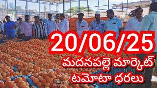 20-06-25 Madanapalle Tomato Market price Today || Today Tomato Market Rate in Madanapalle #today