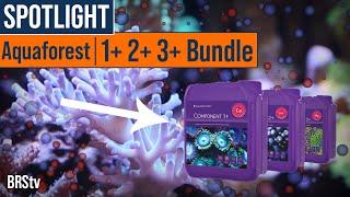 Balling Method for Reef Tanks Made Easy! Aquaforest Component 1+, 2+, 3+ Bundle