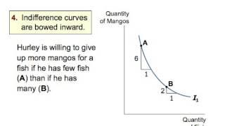 The Theory of Consumer Choice