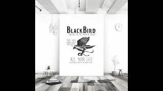 The Beatles - Black Bird ( No Guitar )