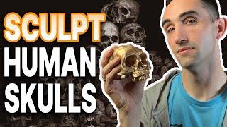 How to Sculpt a Human Skull in Clay | Learn Ceramics