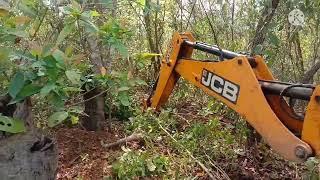 Jungle toilet semba