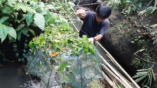 gak nyangka & tak terduga pasang bubu udang bisa dapat ikan sidat..