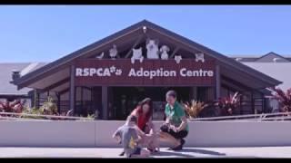 Adopt for life. RSPCA QLD.