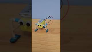 Walking Robot with Single DC Motor