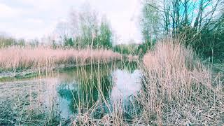 Friedenau to Tegeler Fließ - Nature paradise at the city gates