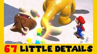 67 Little Details | Bowser's Fury