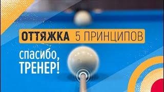 ОТТЯЖКА 5 ПРИНЦИПОВ | Спасибо,Тренер!