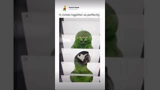 Watch till end