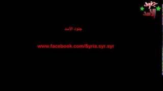 Syria   Dead, Injured or FAKE   UgaritNews