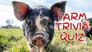 Farm Trivia Quiz #farming #quiz #trivia #animal #cattle #chicken #goat #horse #cow #poultry #farm