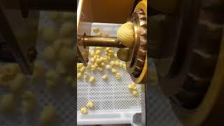 Today’s a good day to eat pasta PetersPasta