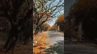 safarnama sawalo ka safarnama!!....#shorts #viral #song #safarnama