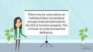 Endocannabinoid Deficiency