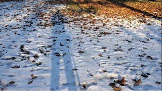 Snowy park. md-4030 metal detector.