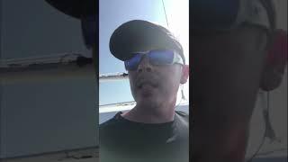 Catching mahi   they are everywhere #short #shortvideo #shortvideos #shorts #beach #mahi #dorado