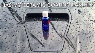 Carpro Cquartz UK 3.0 How long Does it Last? 18 Month Update And Wash