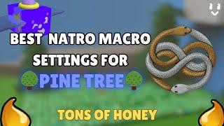 The BEST Natro Macro Settings for Pine Tree Field! (Lots of honey)