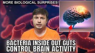 Direct Connection Between Gut Microbiome and Human Intelligence