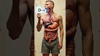 The Antique Key: A Bizarre Voyage Inside the Body