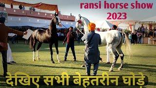 Marwari horse ||देखिए सभी बेहतरीन घोड़े।Ransi Horse Show 2023. Stallion Category Competition.