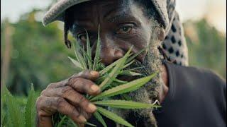 Weed Dub Rap (Dub Mix • Dub Music • Reggae Roots)