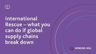 International Rescue – what you can do if global supply chains break down