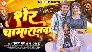 #vikash_rao - शेर चामारानवा #chamaran_song 2024 | Sher Chamaranwa | चमार जी के गाना 2024