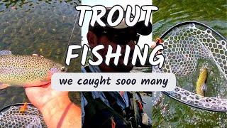 Experience the Thrill of Trout Fishing in Norfork Tailwaters Like Never Before